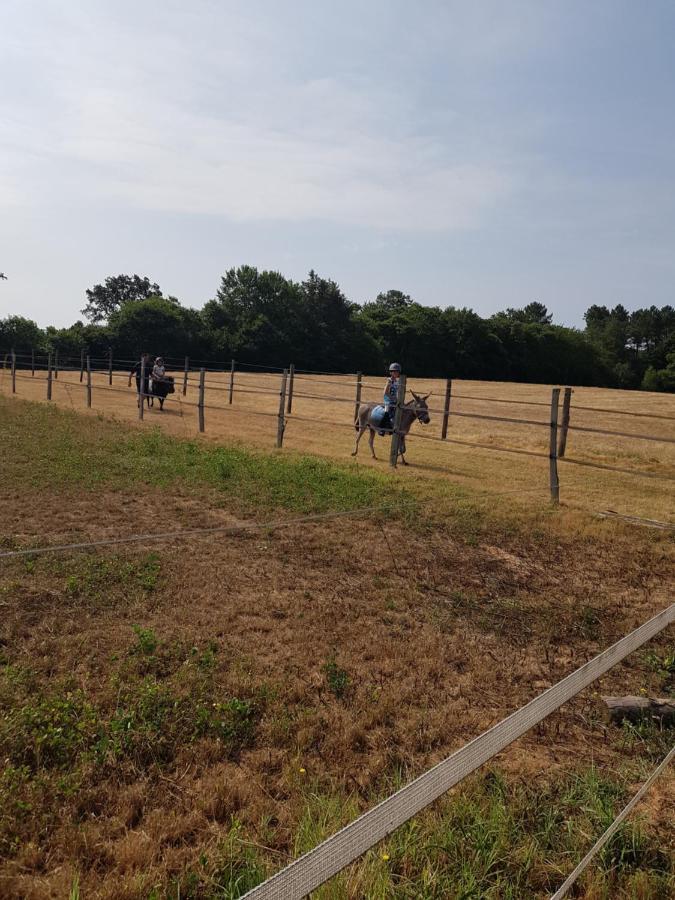 Gite Equestre Domaine Des Crins - Monpazier Capdrot ภายนอก รูปภาพ