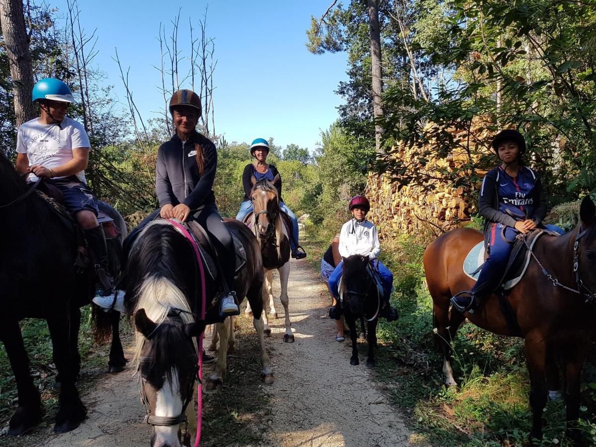 Gite Equestre Domaine Des Crins - Monpazier Capdrot ภายนอก รูปภาพ
