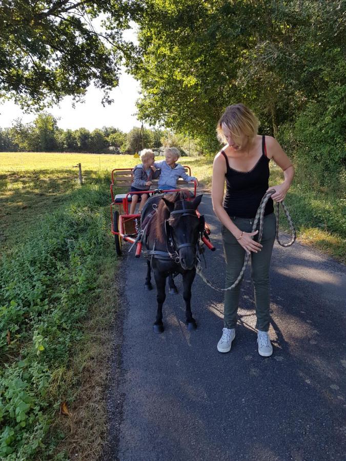 Gite Equestre Domaine Des Crins - Monpazier Capdrot ภายนอก รูปภาพ