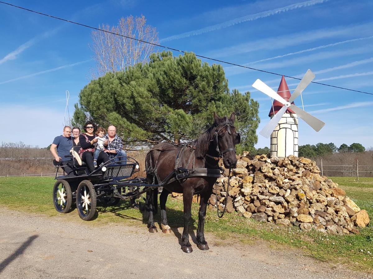 Gite Equestre Domaine Des Crins - Monpazier Capdrot ภายนอก รูปภาพ